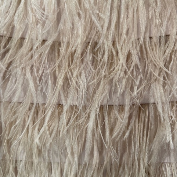 Club Monaco Light Pink Feather Mini Skirt Size 00 EUC - Picture 2 of 9